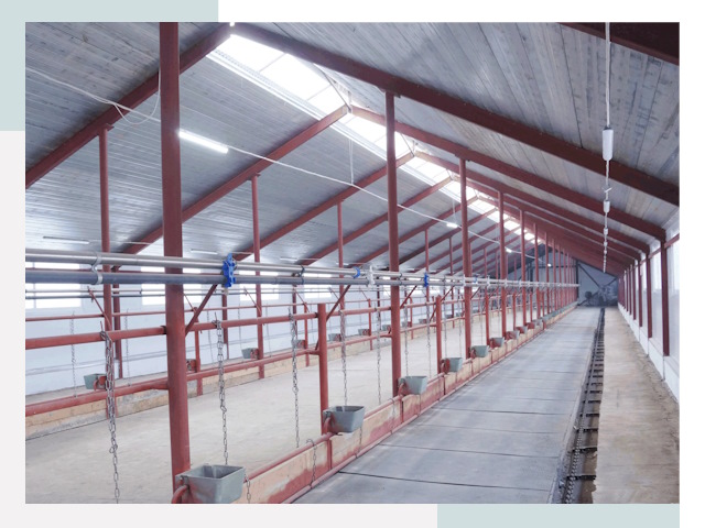 Строительство коровников в Ханты-Мансийске от 613 руб.