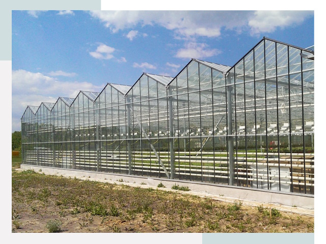 Строительство теплиц в Ханты-Мансийск от 613 руб. за м²